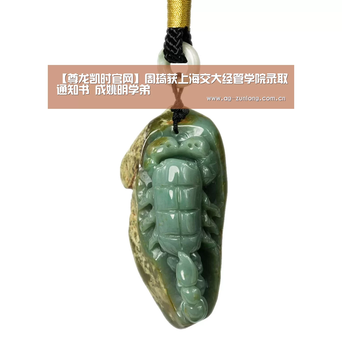 【尊龙凯时官网】周琦获上海交大经管学院录取通知书 成姚明学弟(图1) 尊龙凯时人生就是搏