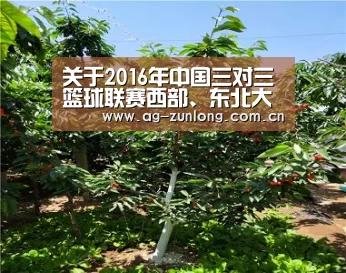 关于2016年中国三对三篮球联赛西部、东北大区赛裁判员安排的通知-尊龙凯时人生就是搏(图1) 尊龙凯时人生就是搏