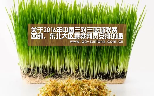关于2016年中国三对三篮球联赛西部、东北大区赛裁判员安排的通知-尊龙凯时人生就是搏(图3) 尊龙凯时人生就是搏