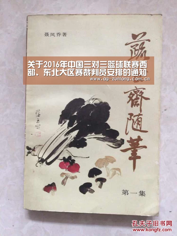 关于2016年中国三对三篮球联赛西部、东北大区赛裁判员安排的通知-尊龙凯时人生就是搏(图2) 尊龙凯时官网