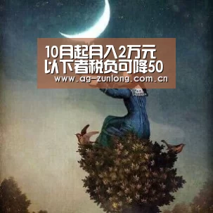 10月起月入2万元以下者税负可降50%以上【尊龙凯时】(图3) 尊龙凯时